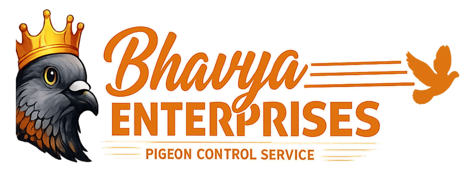Bhavya Safety Nets Chennai
